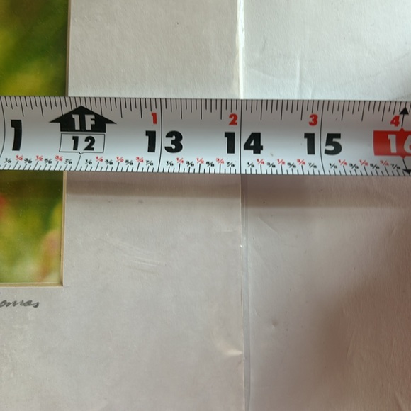 Monarch Butterfly Photo - Picture 3 of 7